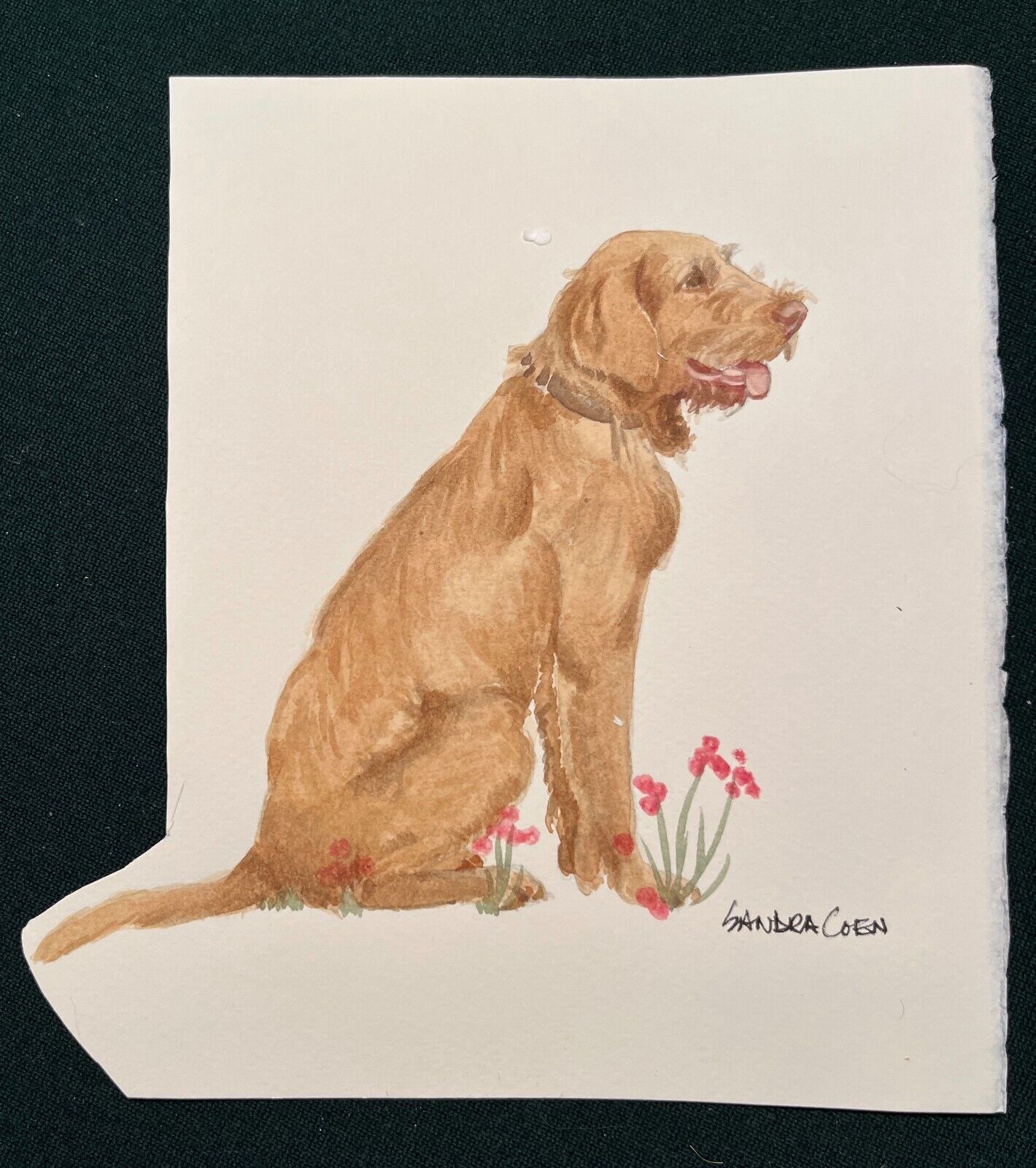 Wire Haired Vizsla Original Watercolor Painting By Coen Sitting Dog